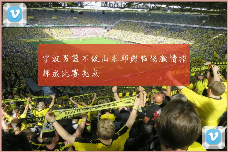 宁波男篮不敌山东邱彪临场激情指挥成比赛亮点