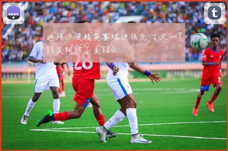 迪拜沙漠精英赛瑞德领先 丁文一T11吴阿顺小麦T20