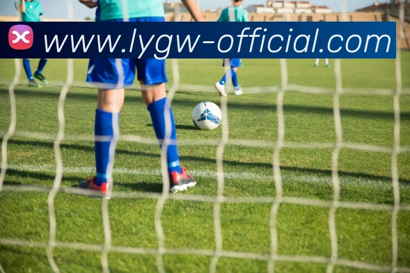 乐鱼官网 - 打造最受球迷信赖的综合体育新闻资讯平台平台生态图