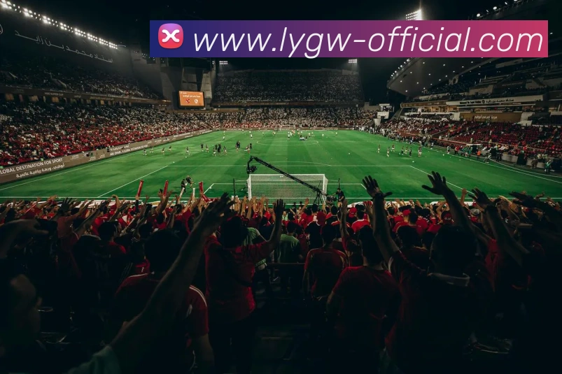 多媒体互动体验